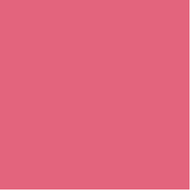 Flame Orange- 309 Piglet Pink
