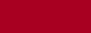 Flame Orange- 313 Cherry Dark